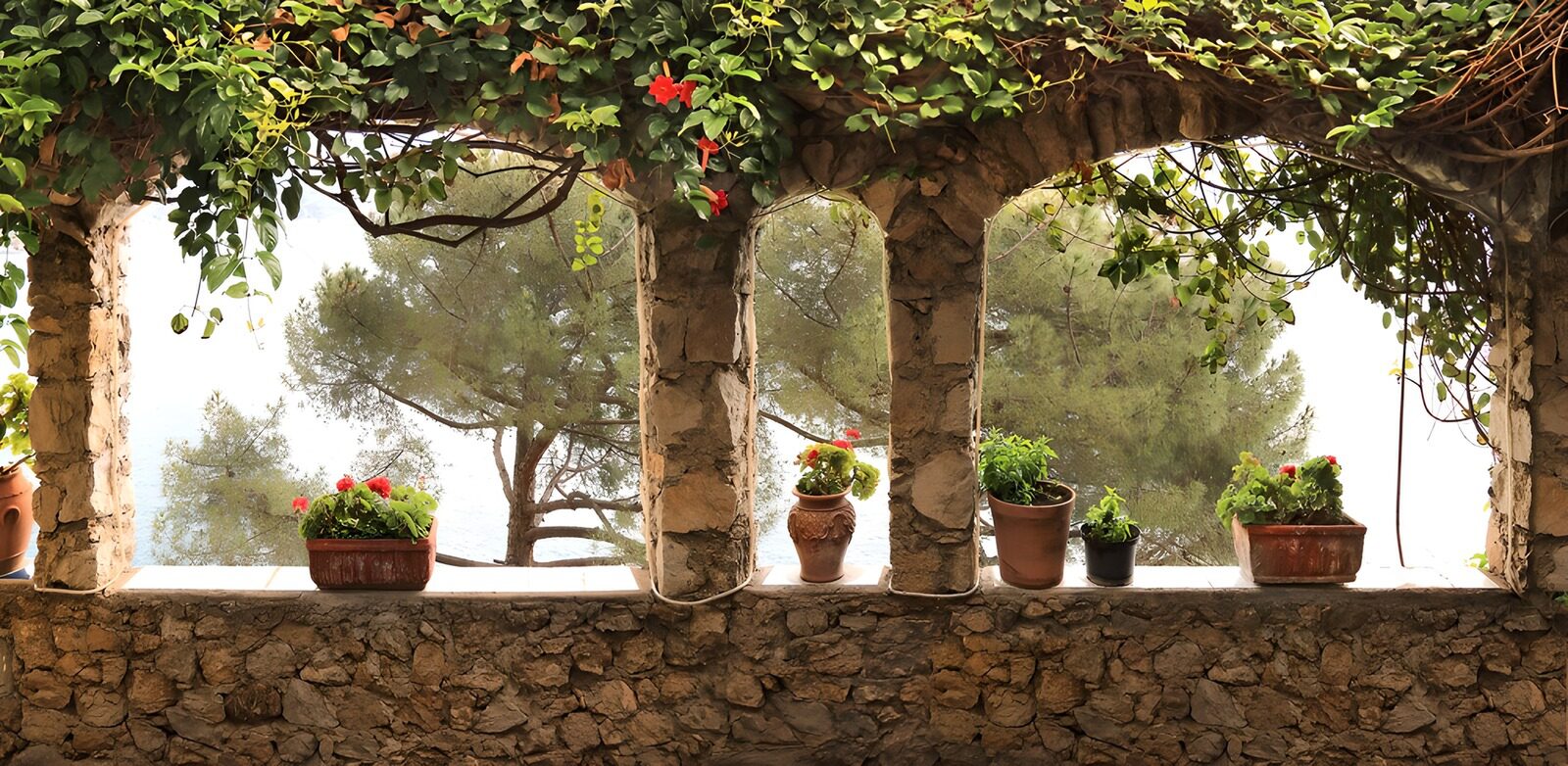 OCUK26612: Serene View through Garden Archways