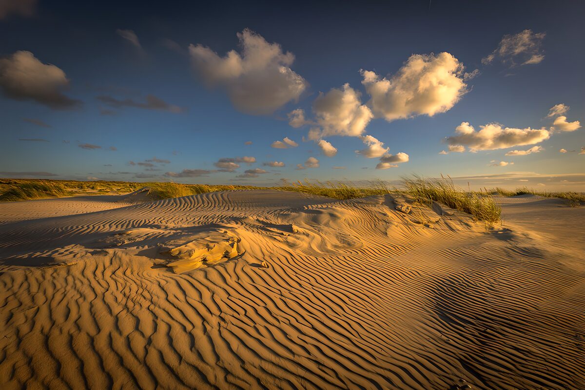 OCUK54029: Serene Dune Landscape at Sunset