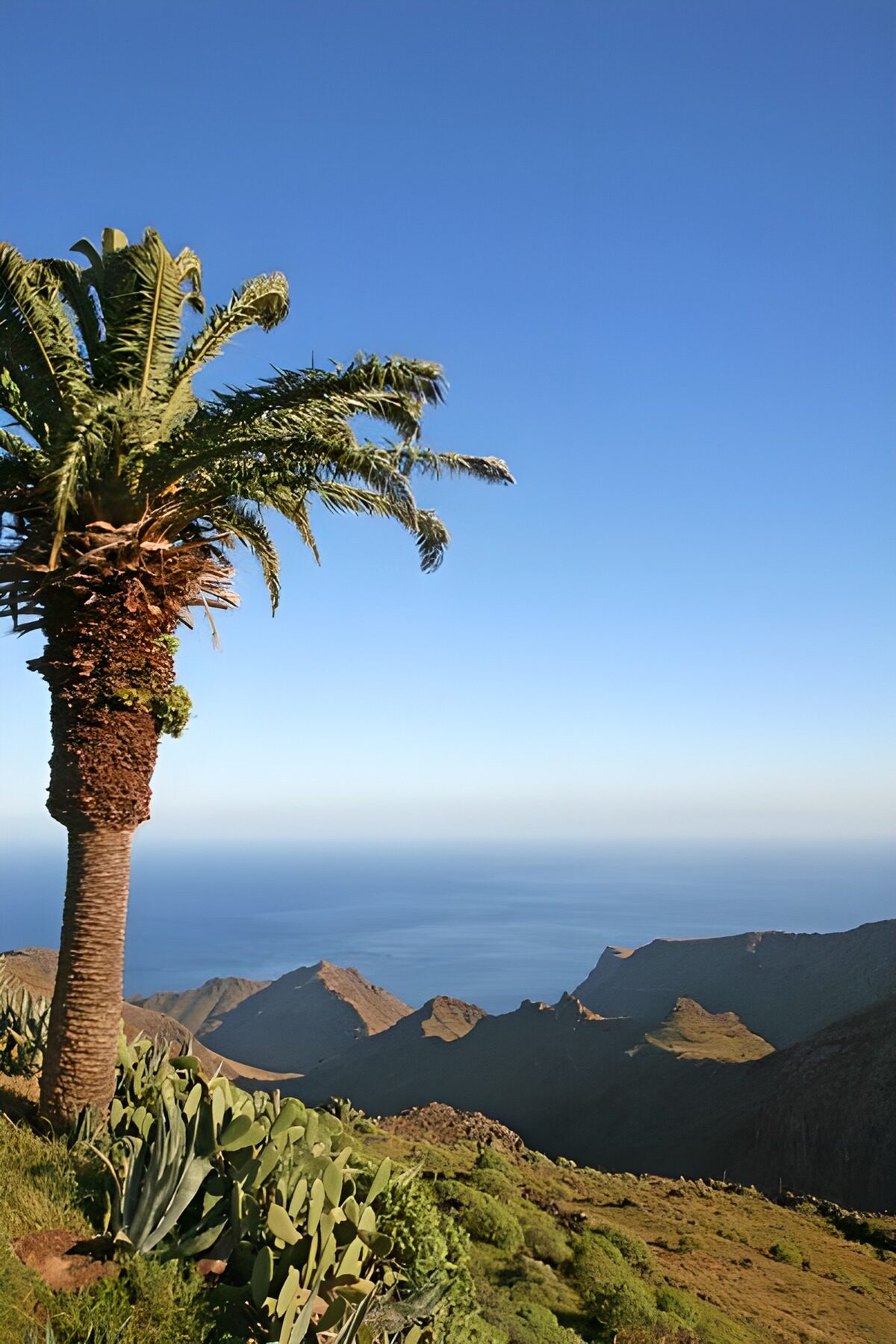 OCUK36264: La Gomera 27