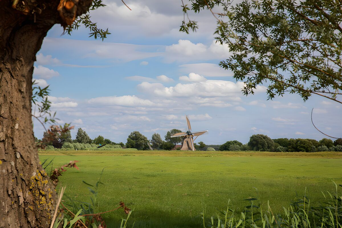 OCUK37268: Tranquil Windmill Amidst Green Fields