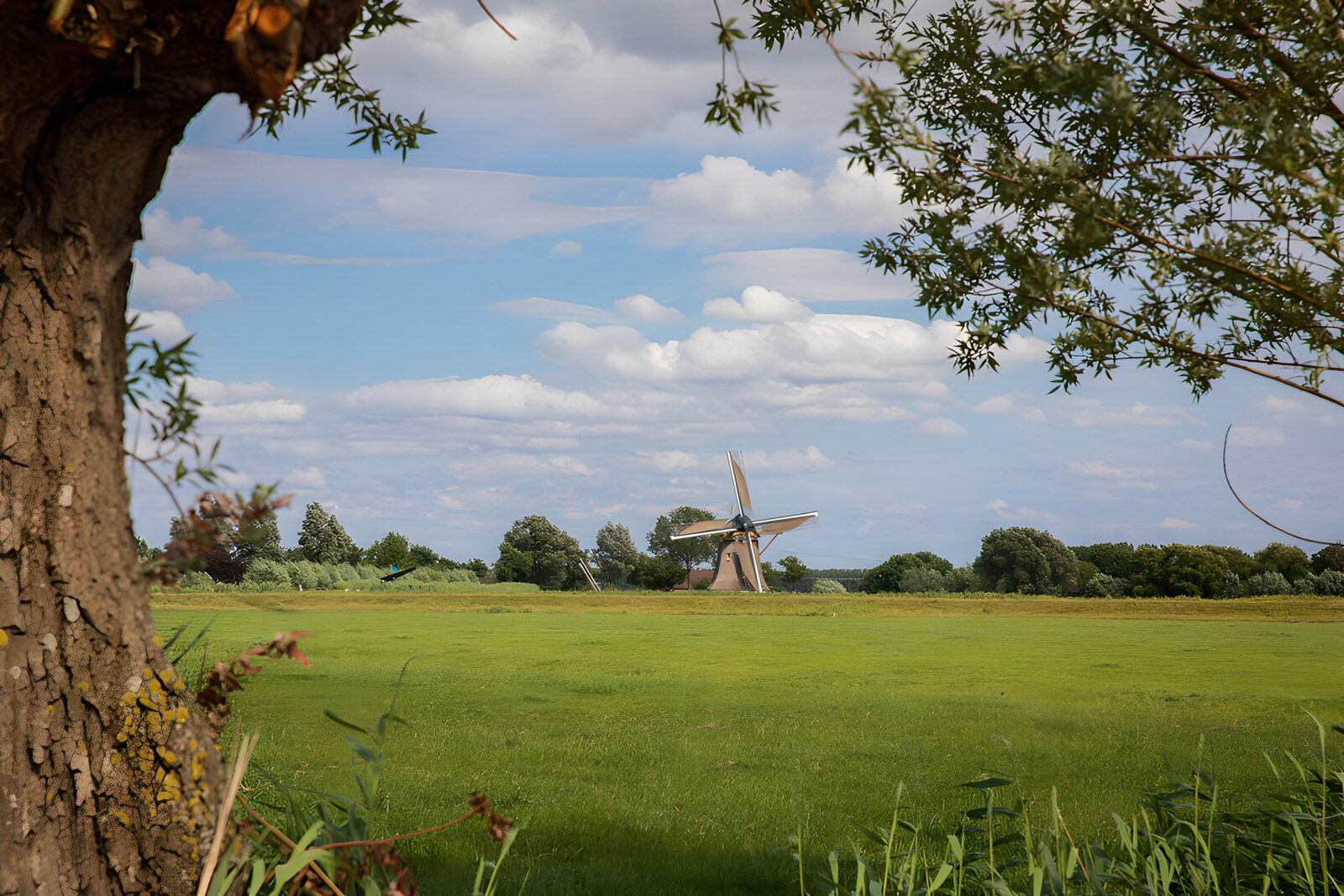 OCUK37268: Tranquil Windmill Amidst Green Fields