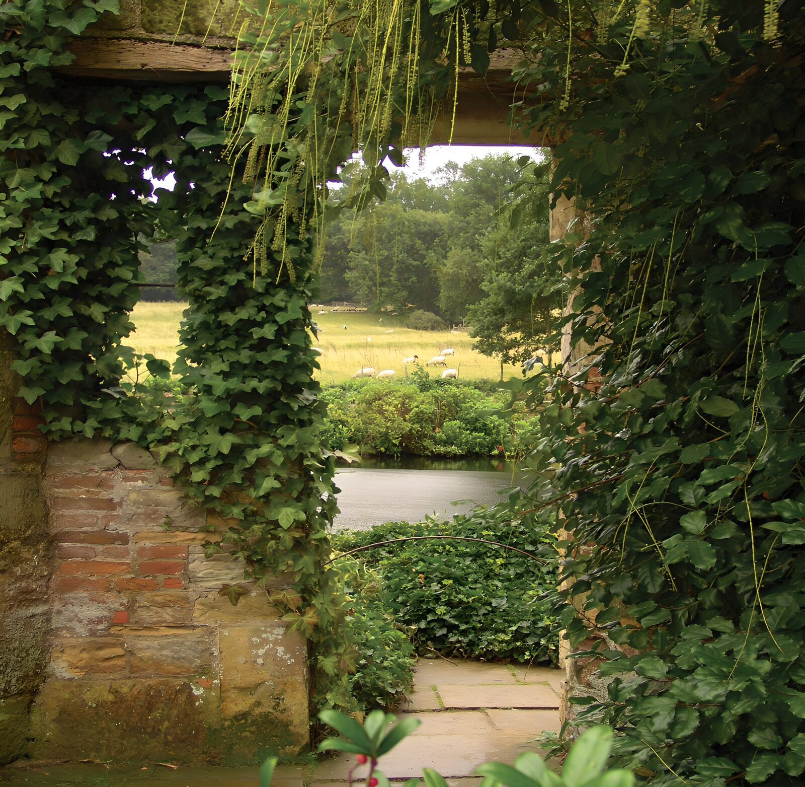 OCUK84008: Tranquil View Through Ivy-Covered Archway
