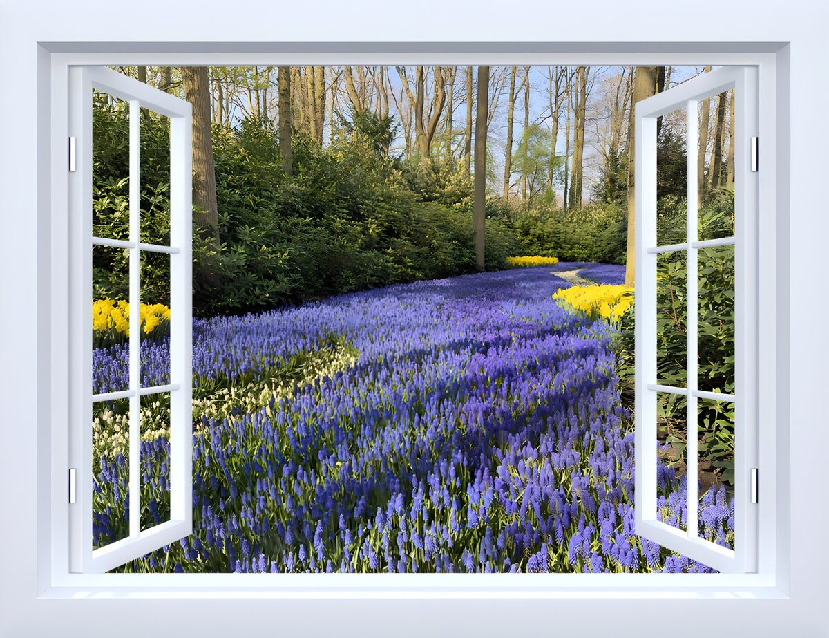 Blossoming View Through the Window