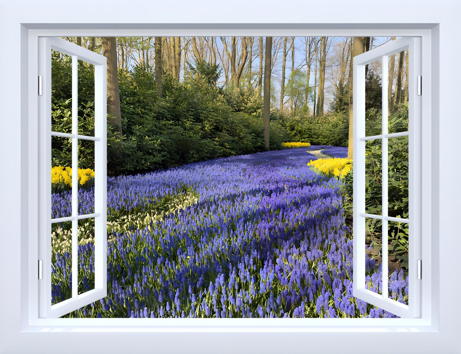 OCUK95827: Blossoming View Through the Window