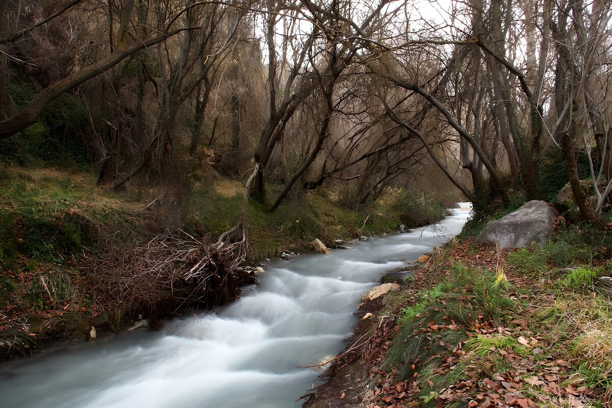 OCUK13193: Serene River Flowing Through Autumn Forest