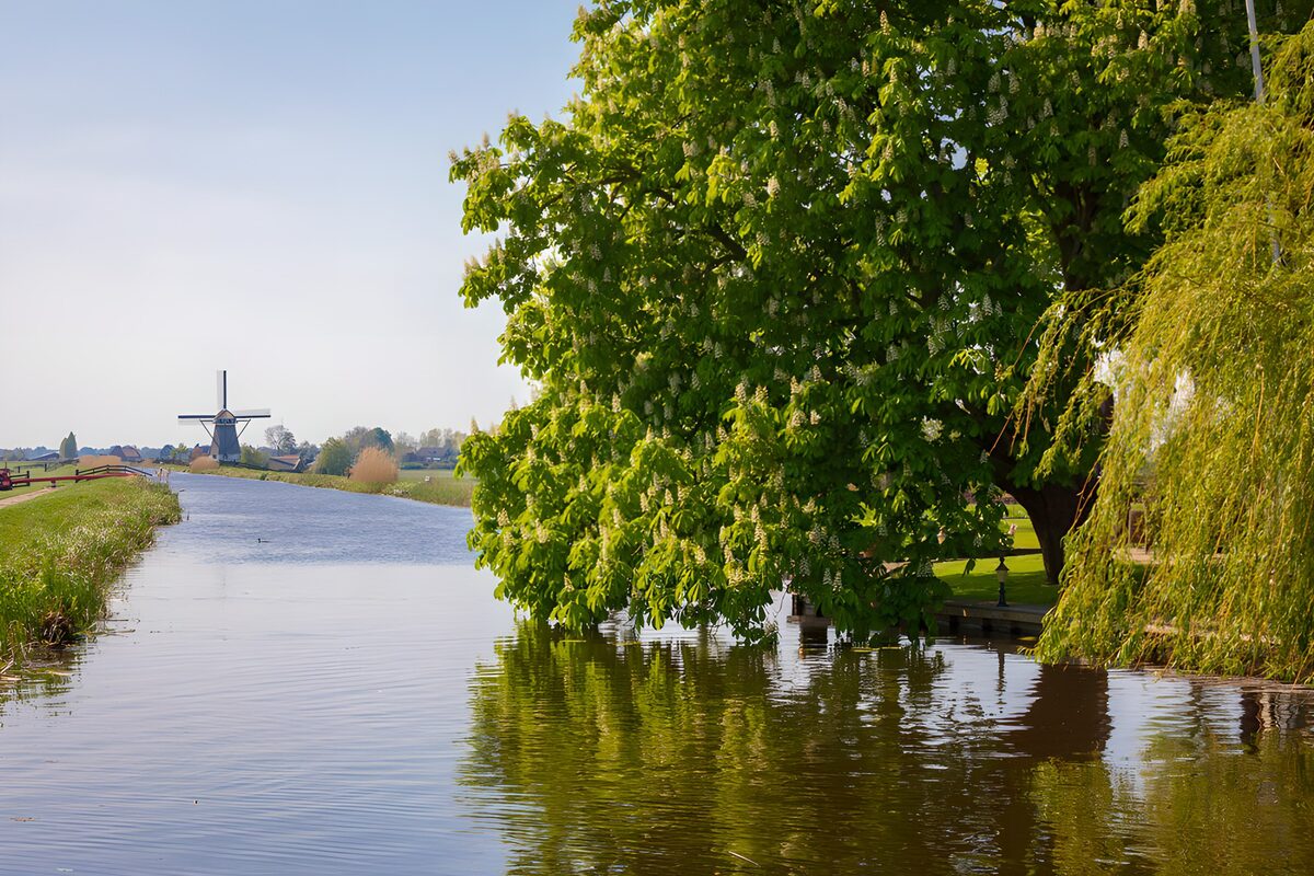 OCUK90654: Tranquil Dutch Countryside Scene