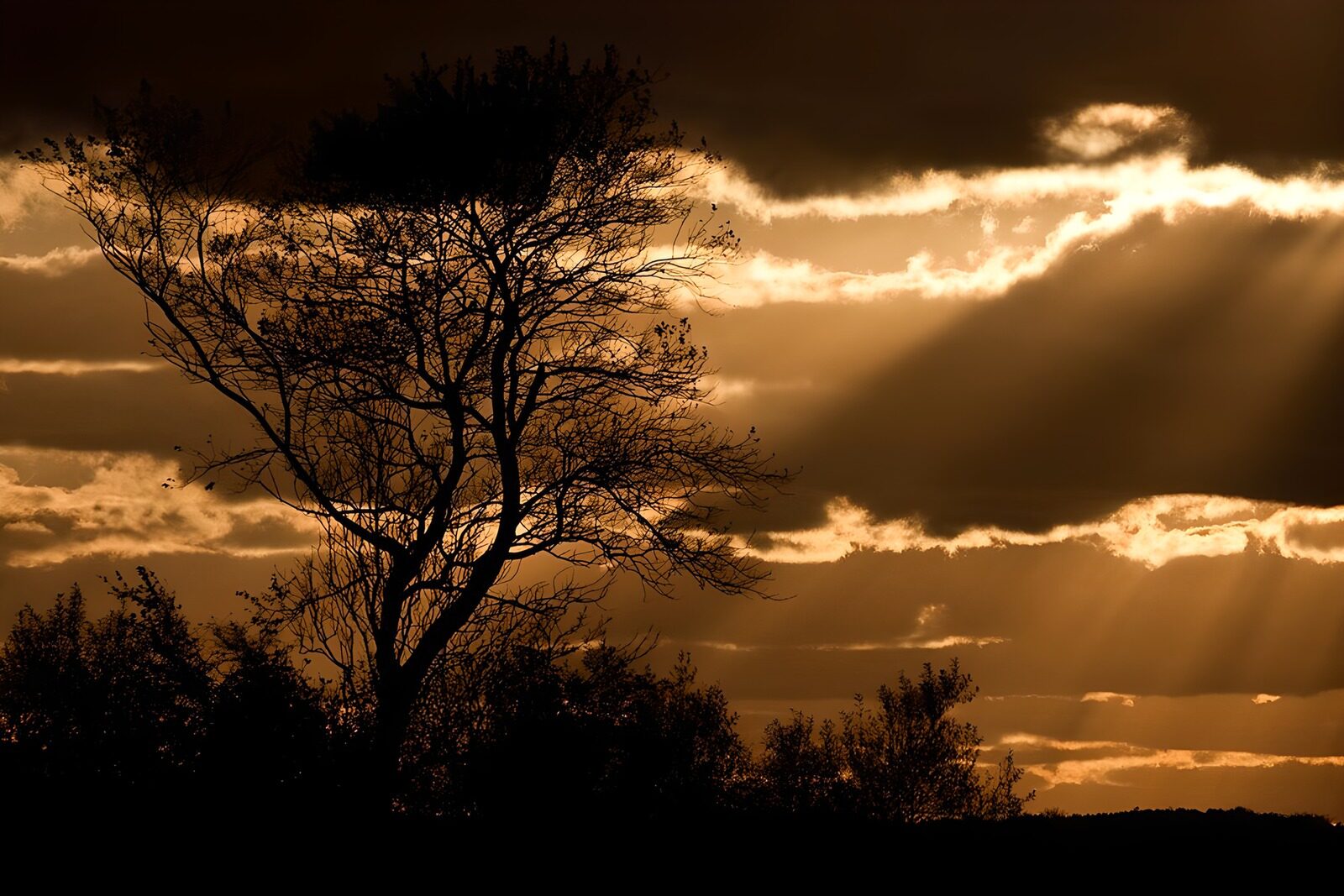 OCUK64405: "Golden Sky at Dusk"