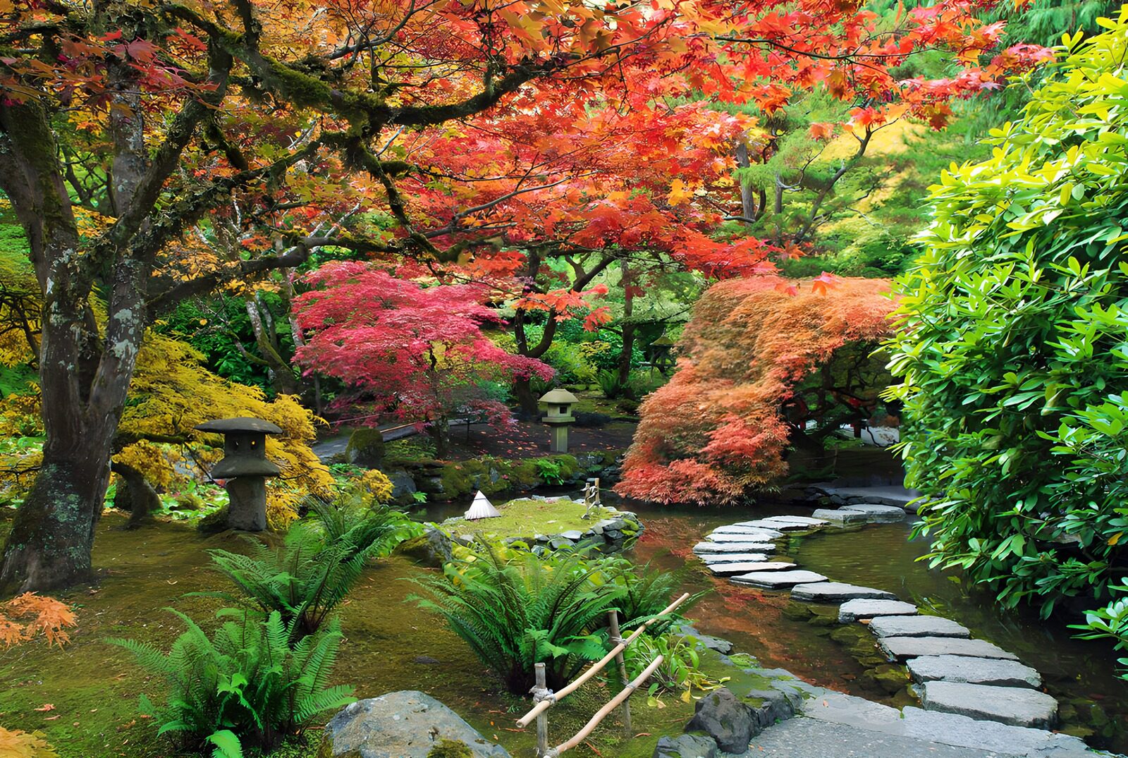 OCUK64742: Tranquil Autumn Garden Serenity