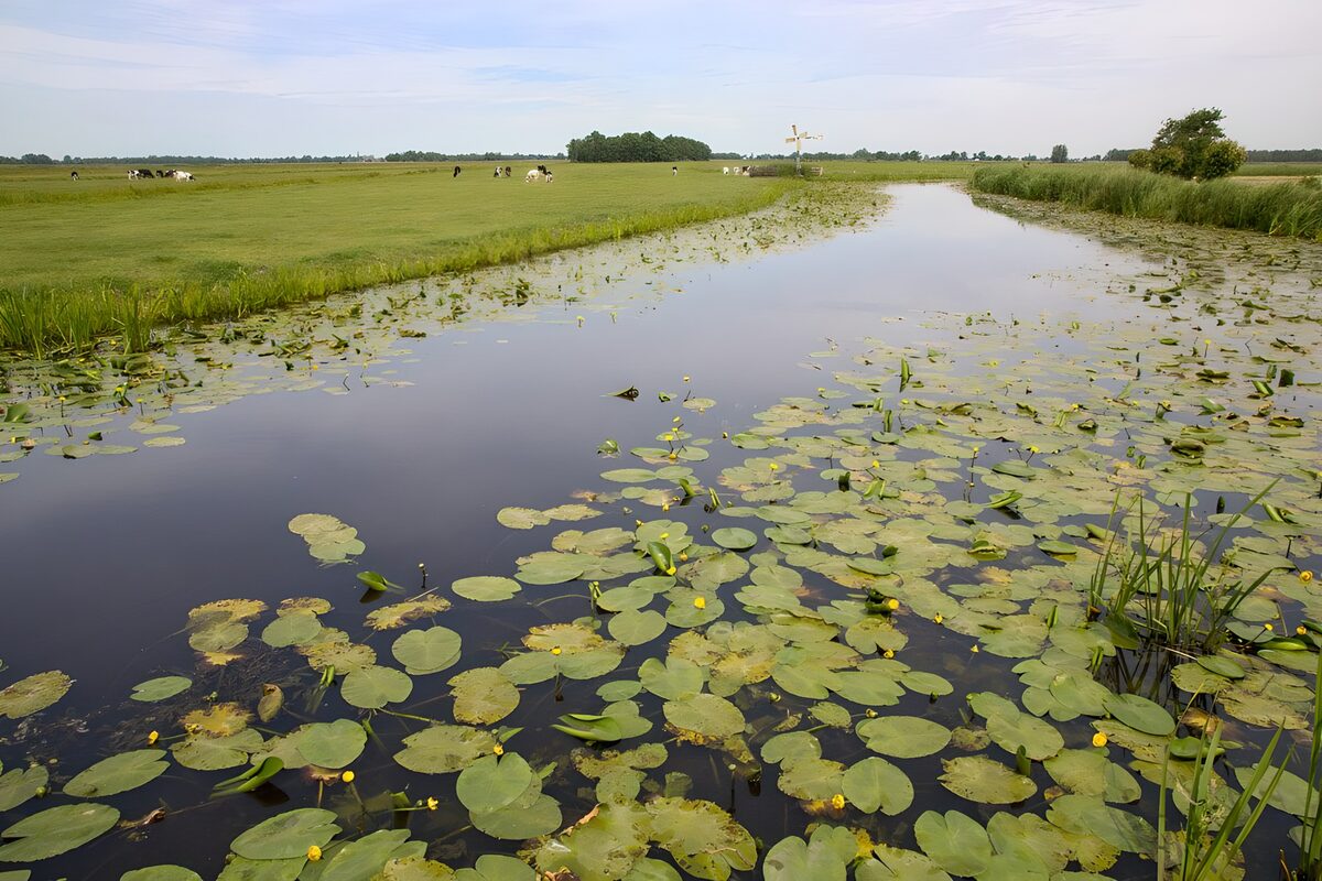 OCUK74917: View to a channel