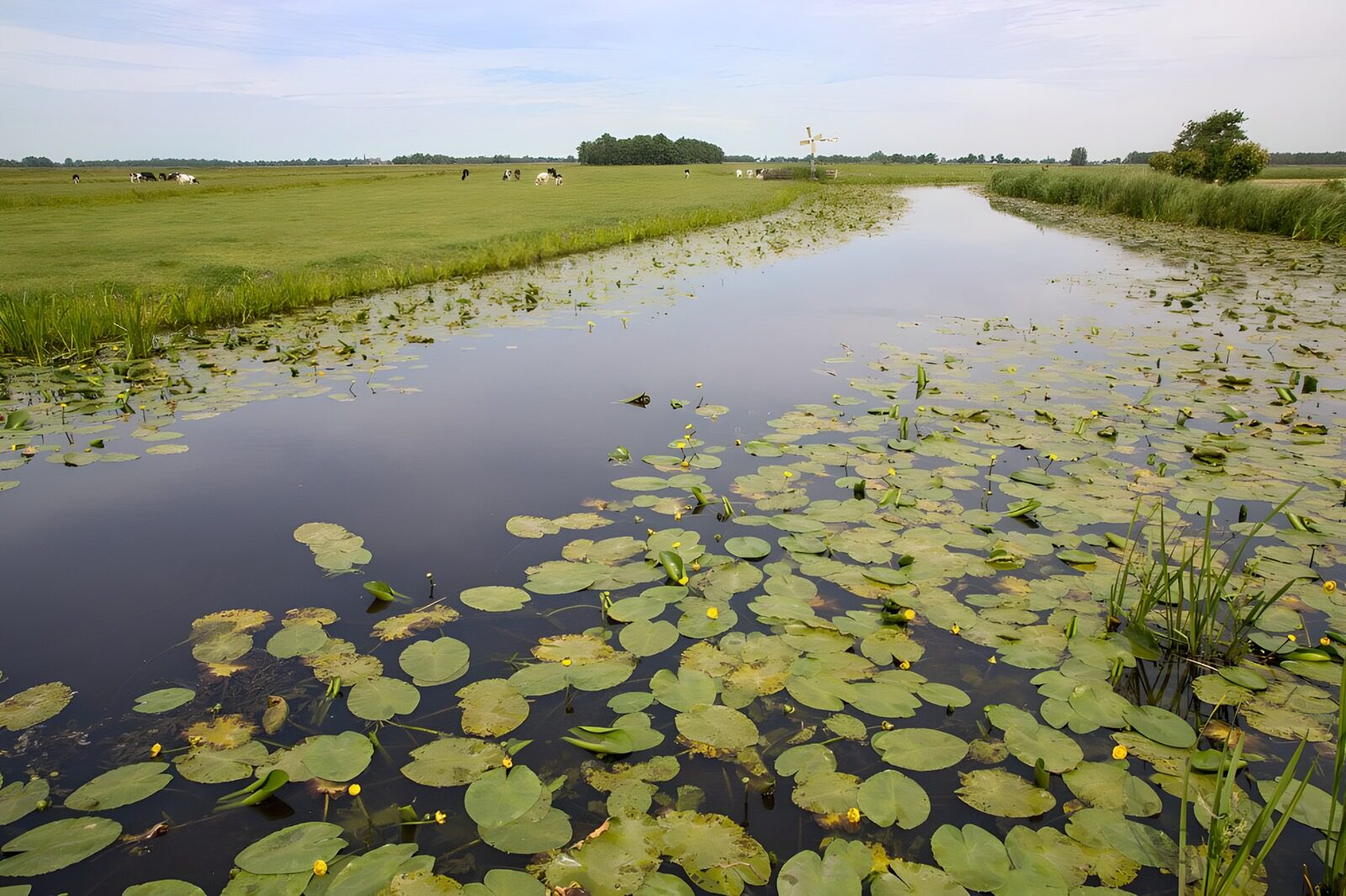 OCUK74917: View to a channel