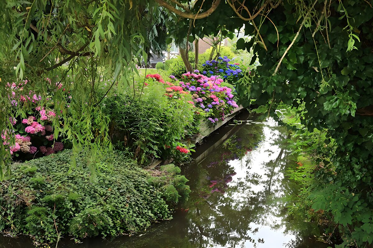 Lookout with hortensia in the waters of "Loosdrecht"