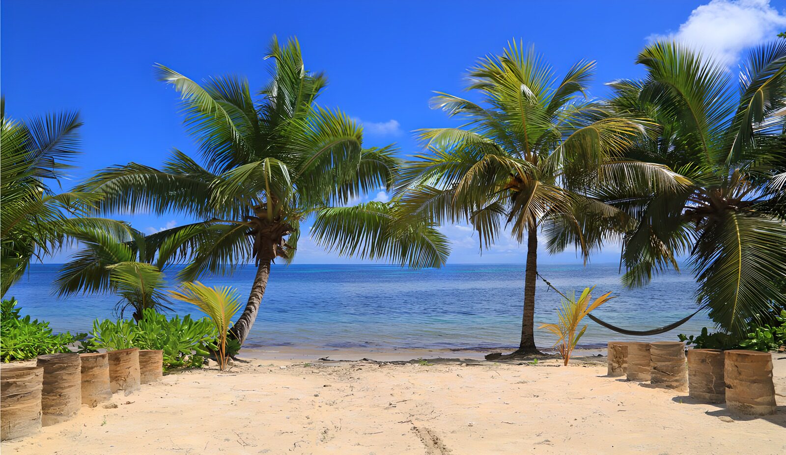 OCUK21561: Beach with palm tree barrels and azure sea