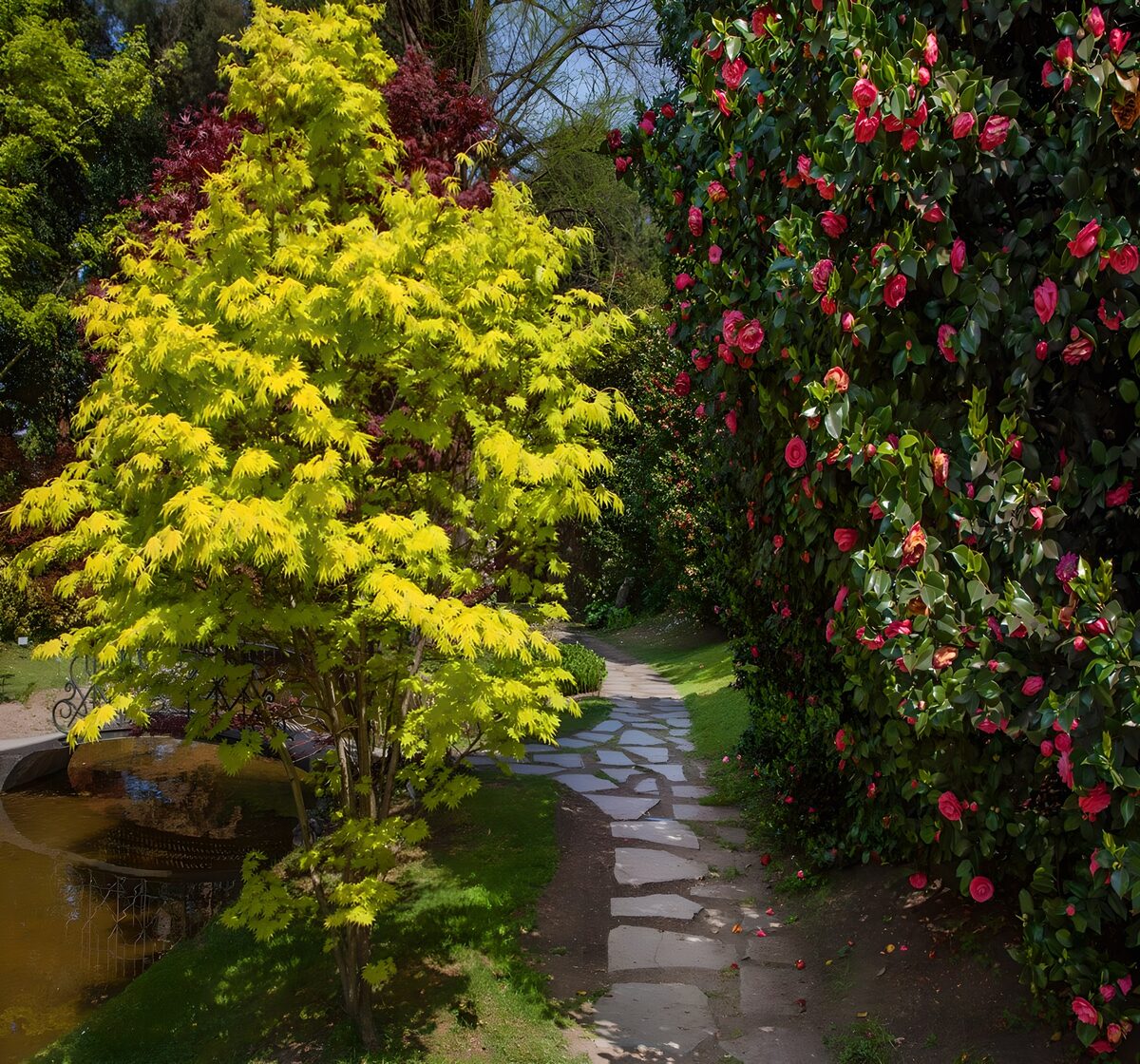 OCUK44817: Vibrant Garden Pathway