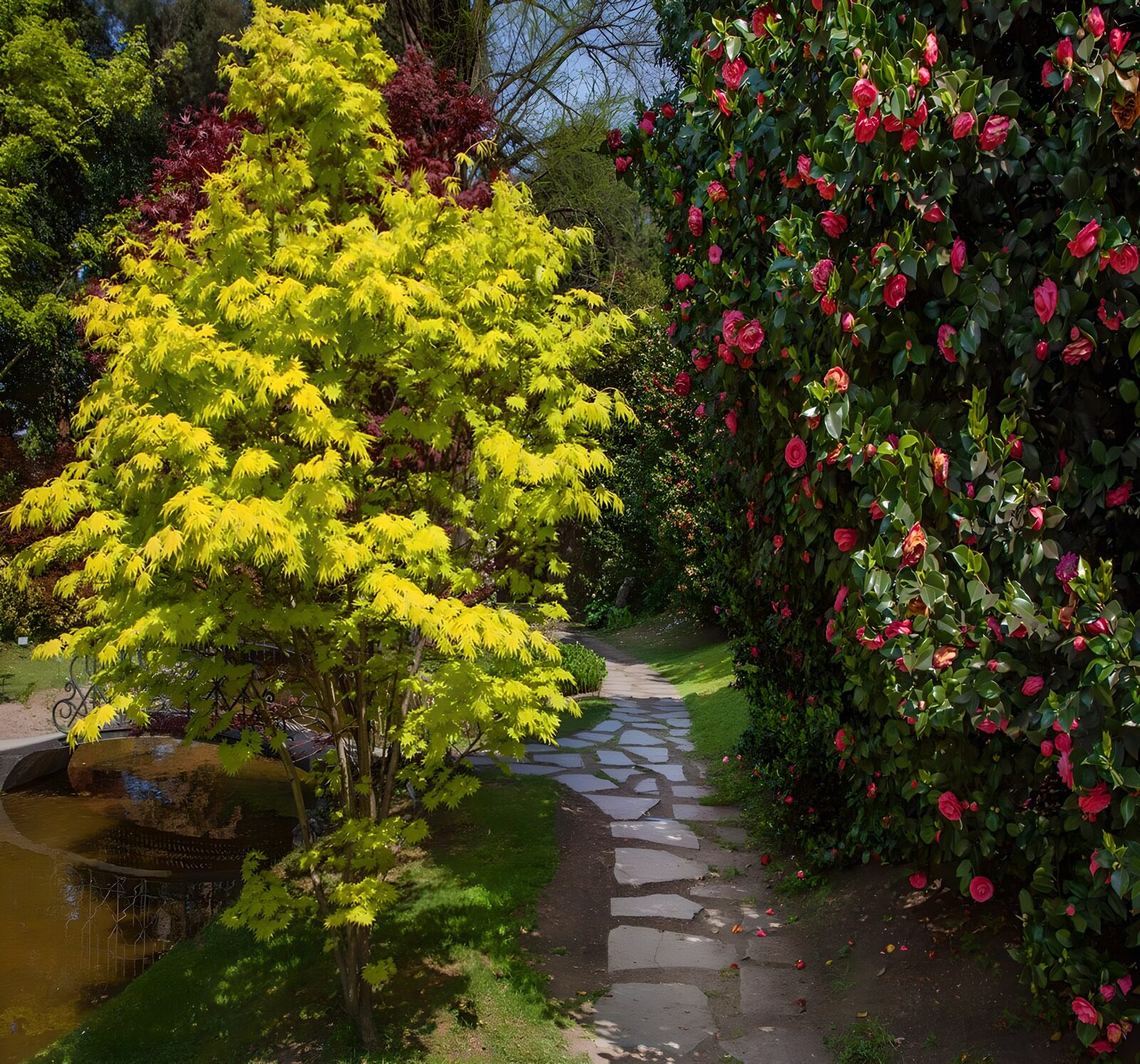 OCUK44817: Vibrant Garden Pathway