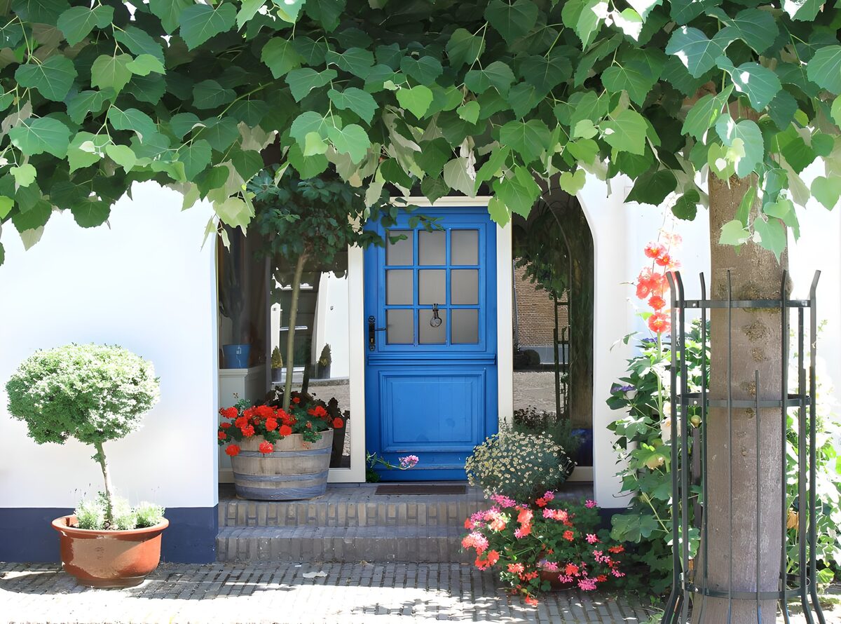 House with blue door, vines, variety of flowers and plants