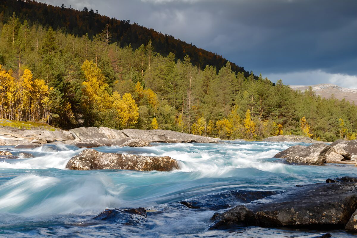 OCUK39710: Tranquil River through Autumn Forest