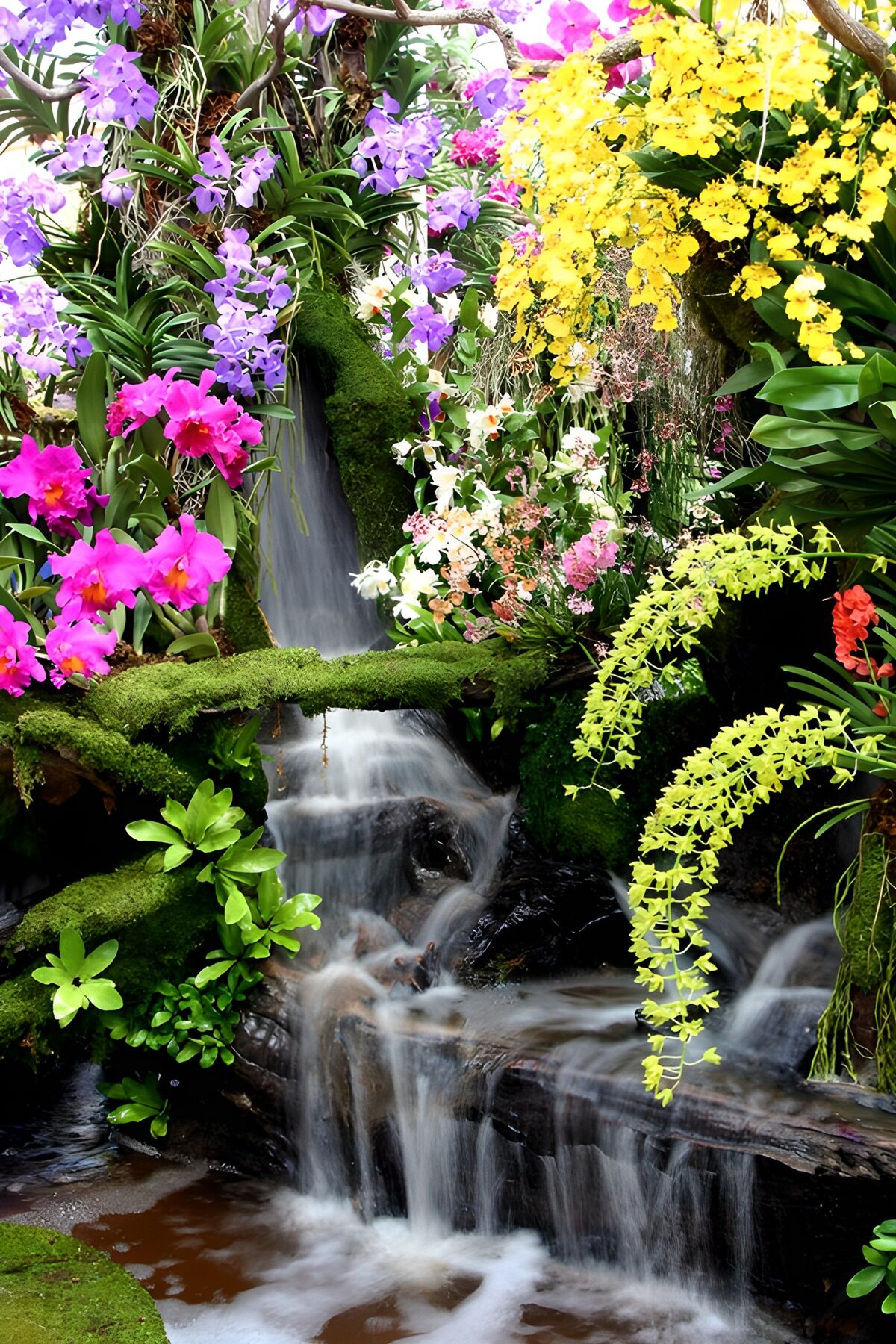 Lush Waterfall in Floral Paradise