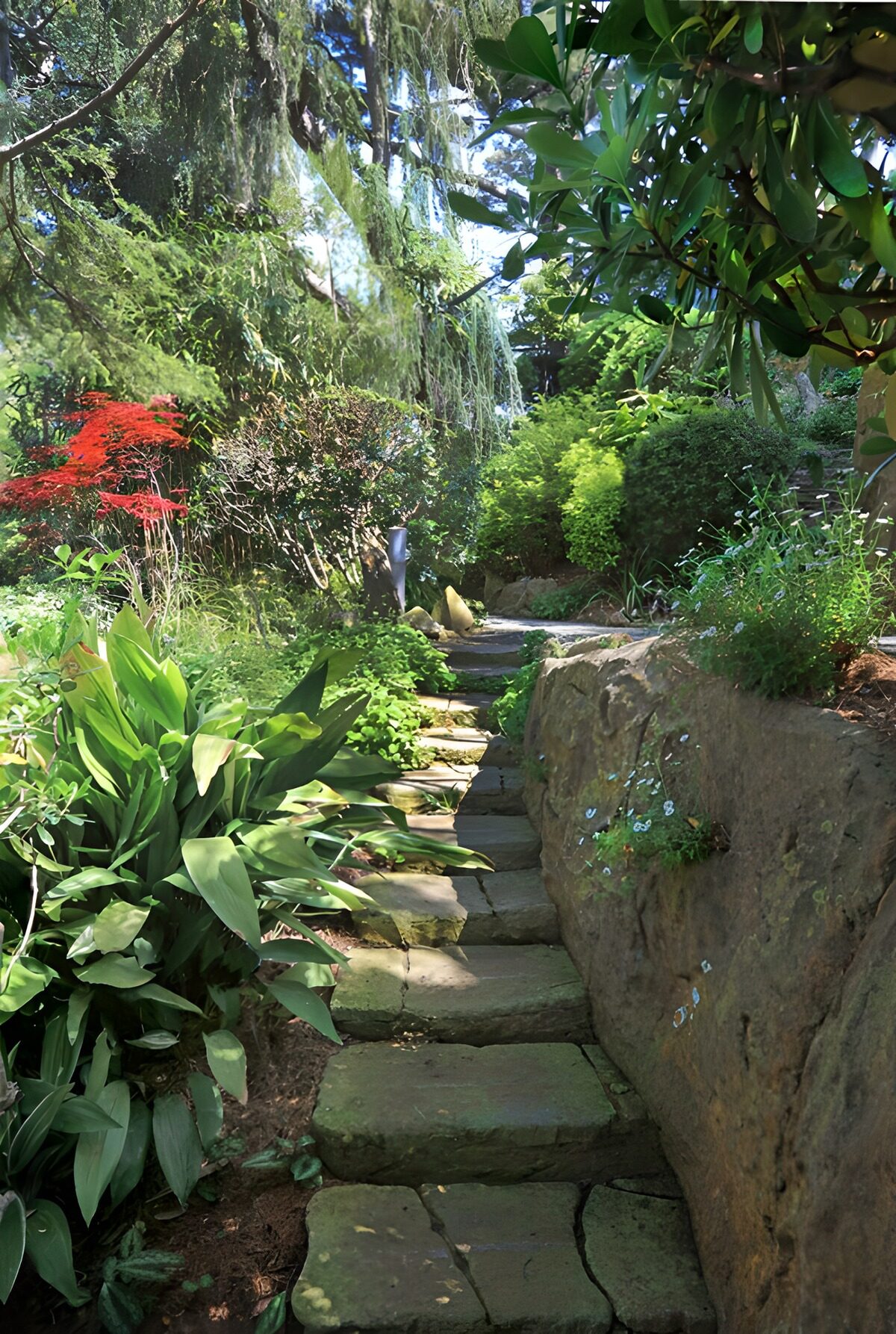 OCUK70072: Serene Garden Pathway