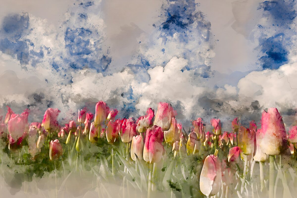 Tulip Dreamscape Under the Sky