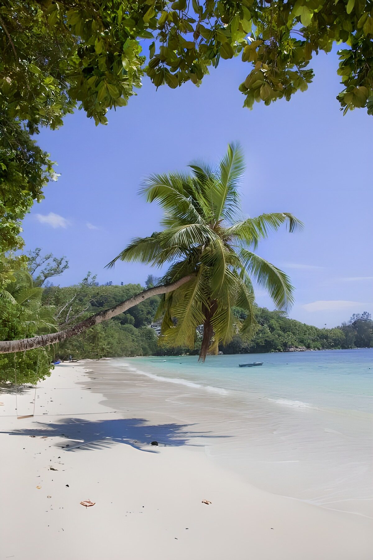 OCUK41899: Tropical Paradise Escape