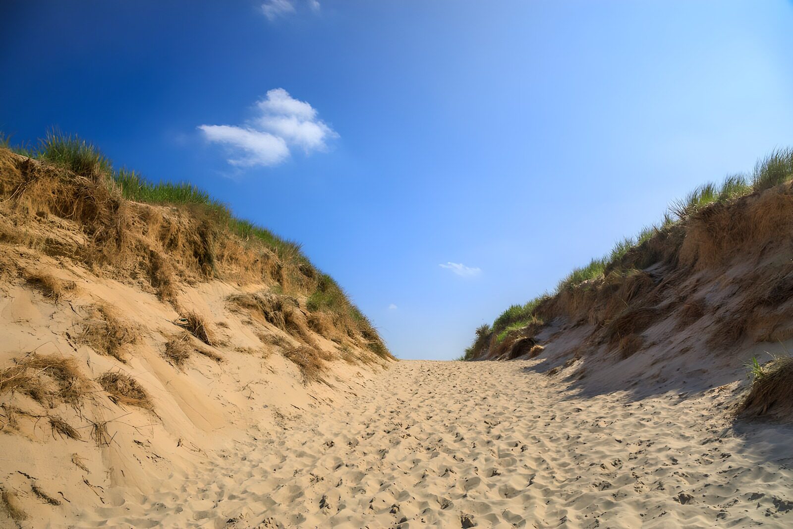 OCUK85674: Tranquil Sand Dune Pathway