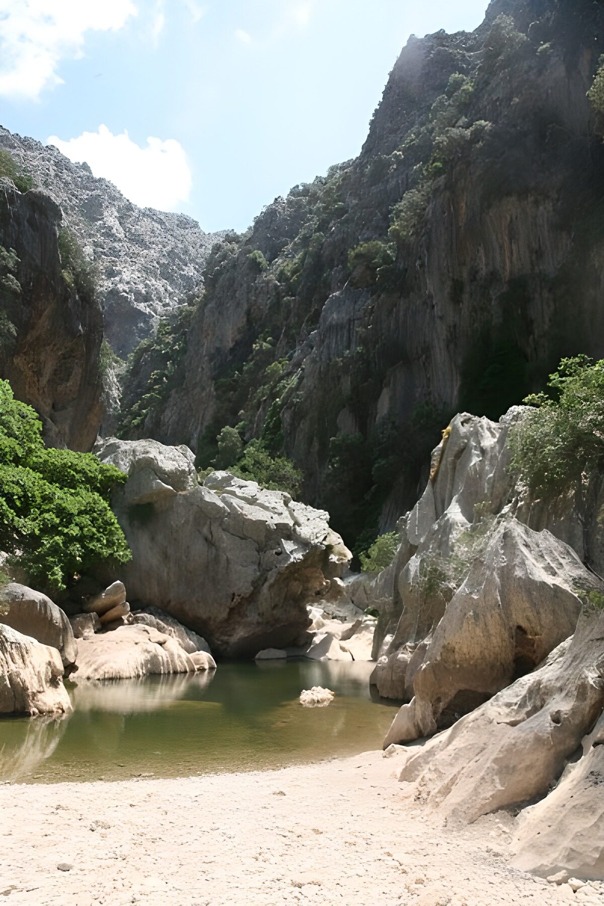 OCUK29863: Well, river, rocks and trees 3