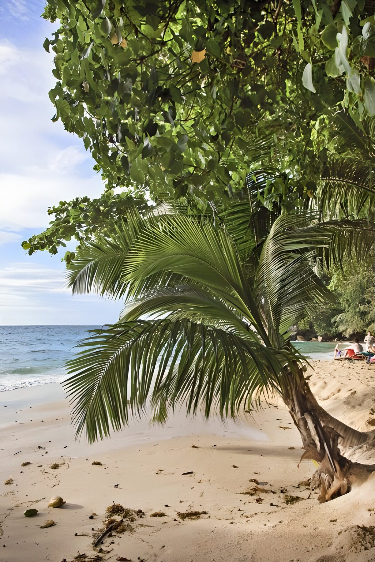 OCUK71425: Serene Beachside Oasis