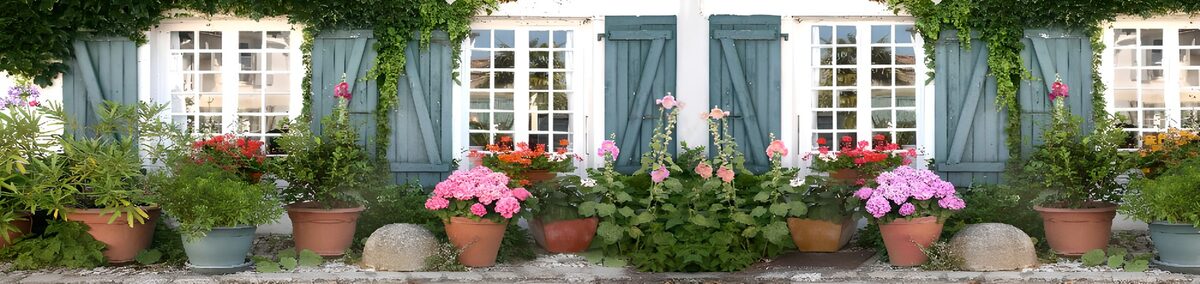 Charming Garden with Colorful Blooms