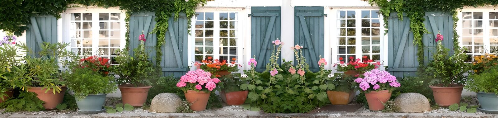 OCUK27889: Charming Garden with Colorful Blooms