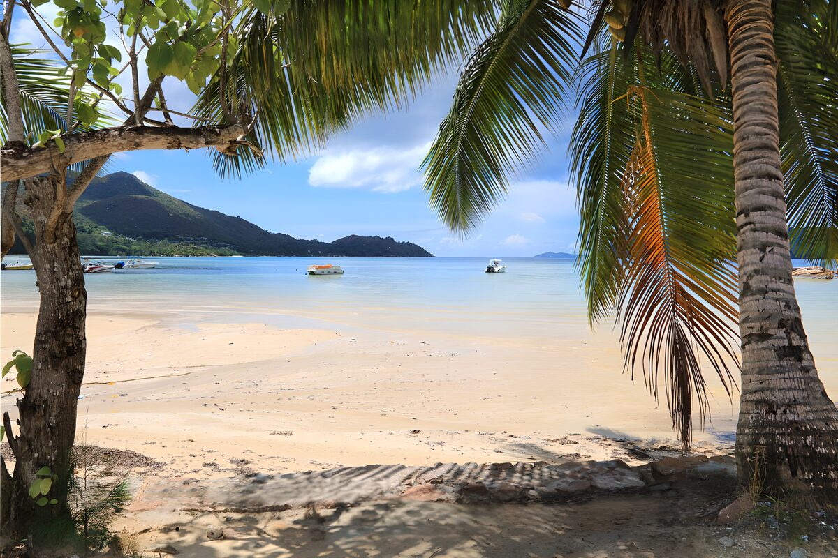 OCUK84937: Serene Tropical Beach Scene