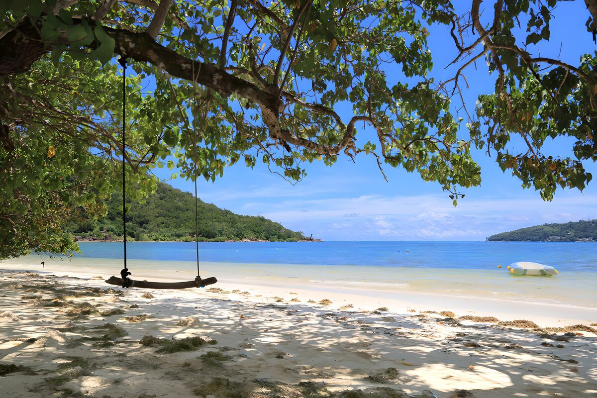OCUK48969: Tranquil Beach Swing Experience