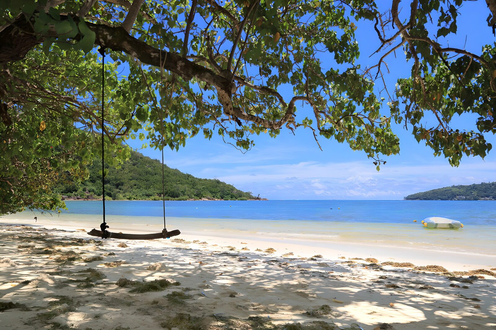 OCUK48969: Tranquil Beach Swing Experience