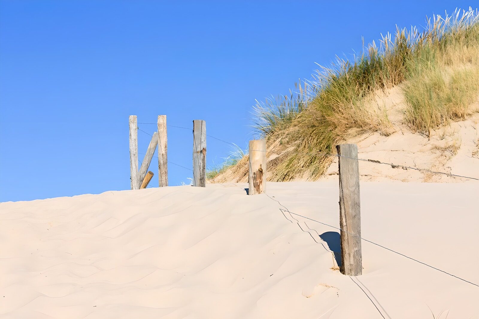 OCUK36501: Sand path to the sea in "Bergen" 4