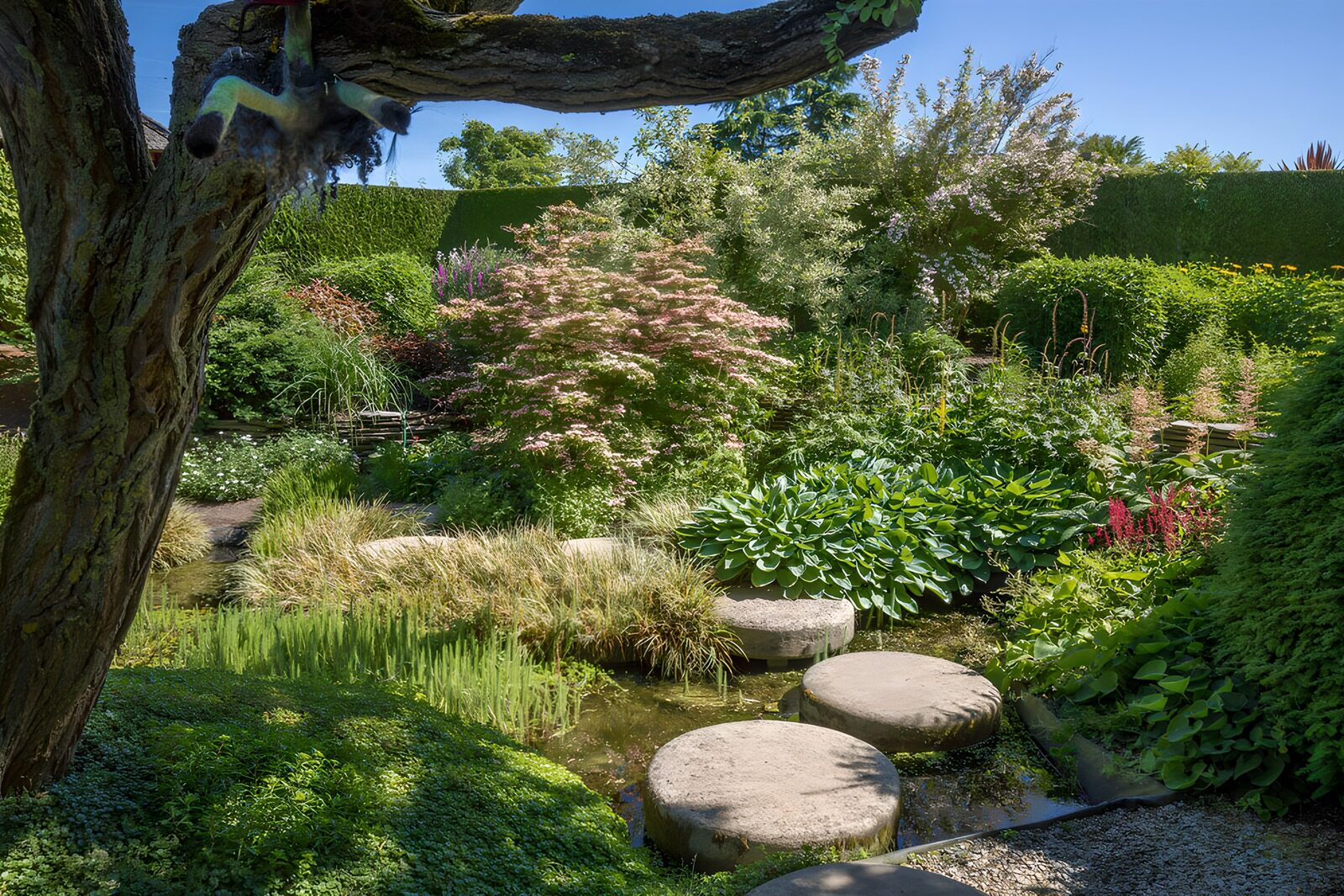 OCUK87875: Tranquil Garden Oasis