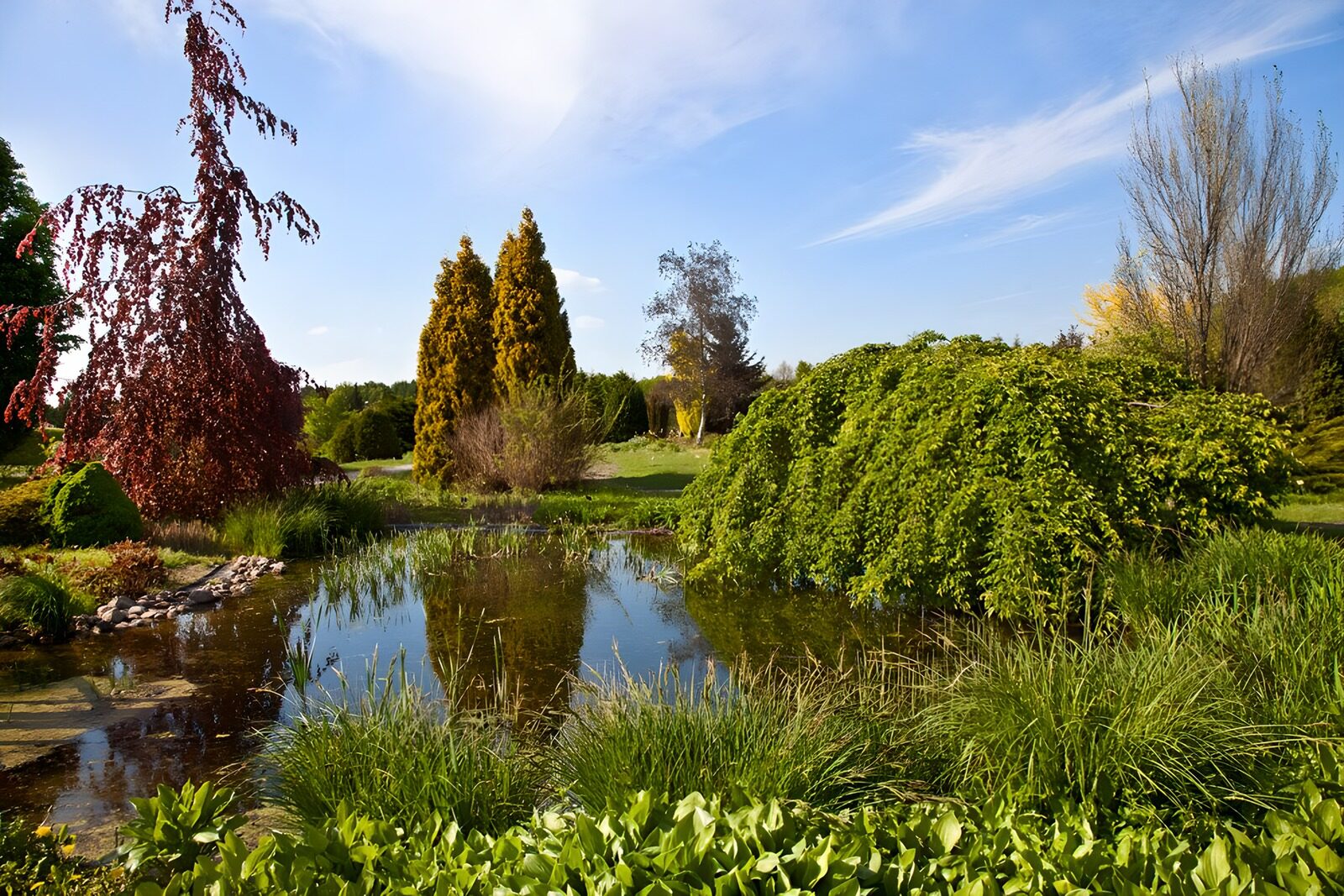 OCUK46880: Serenity in a Garden Oasis