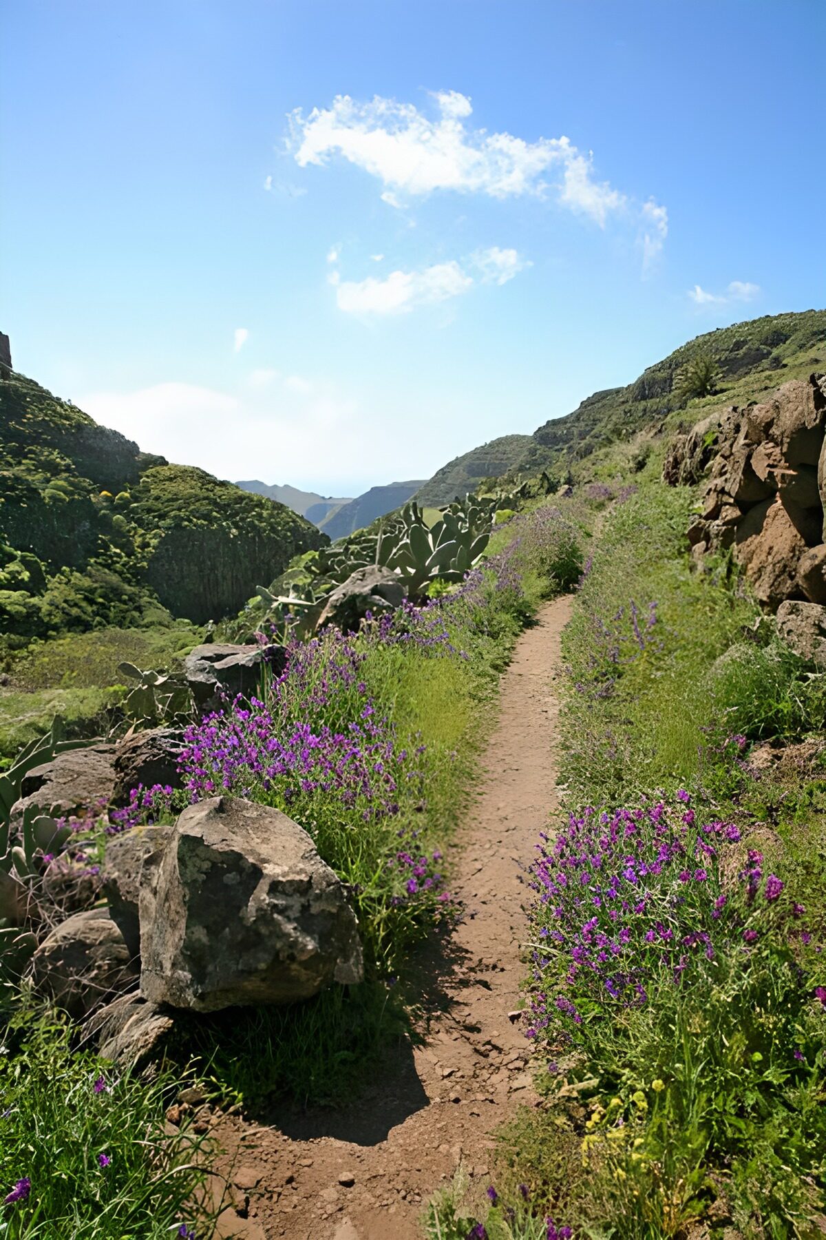 OCUK29351: La Gomera 35