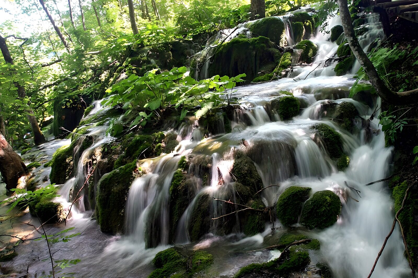 OCUK80810: Serene Forest Waterfall