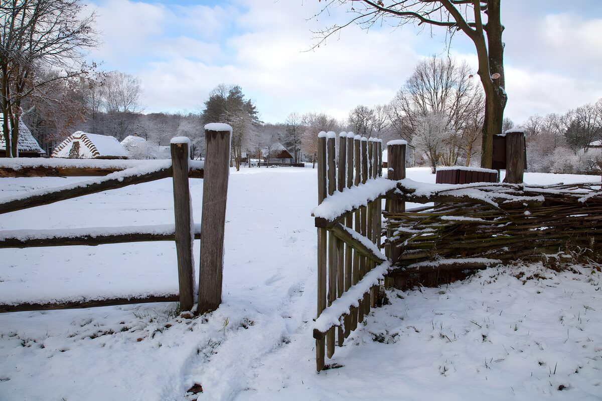 OCUK42073: Winter's Open Gate