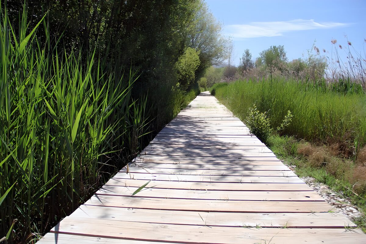 OCUK23525: Tranquil Nature Pathway
