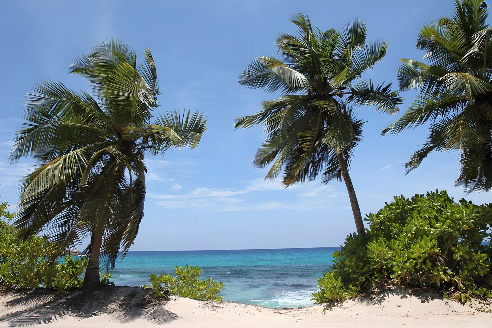 OCUK80496: Tropical Paradise Under Blue Skies