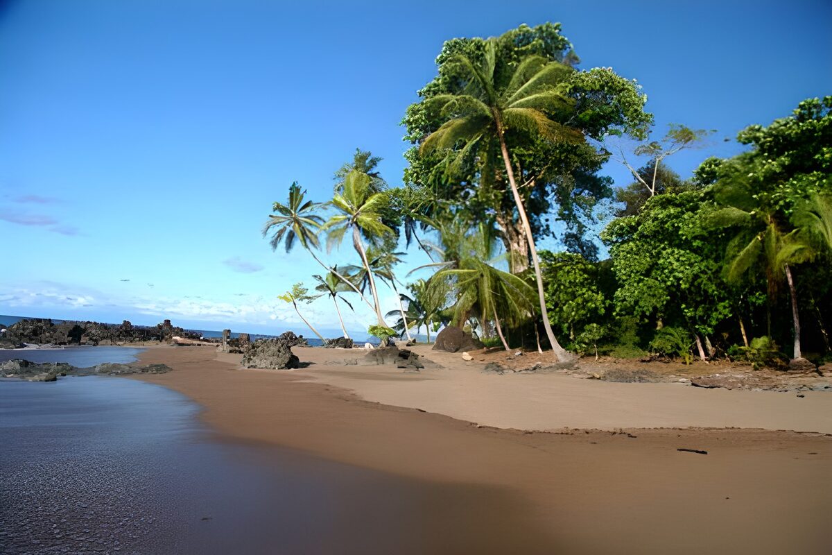OCUK38976: Palm tree, beach on Costa Rico version 1