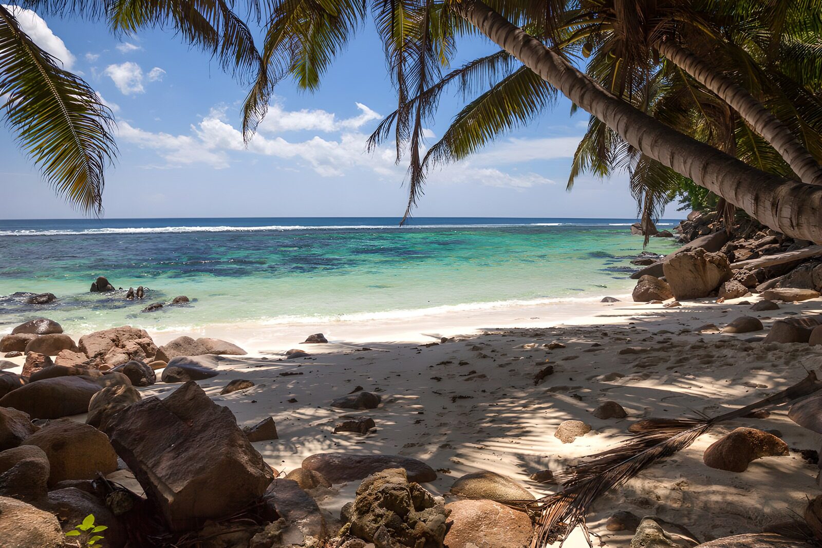 OCUK47998: Serene Tropical Paradise