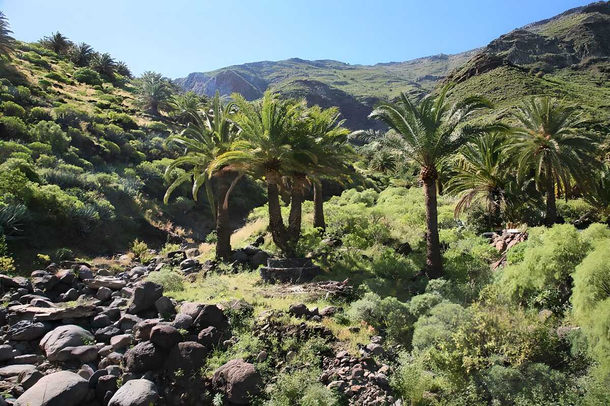 OCUK79624: La Gomera 33