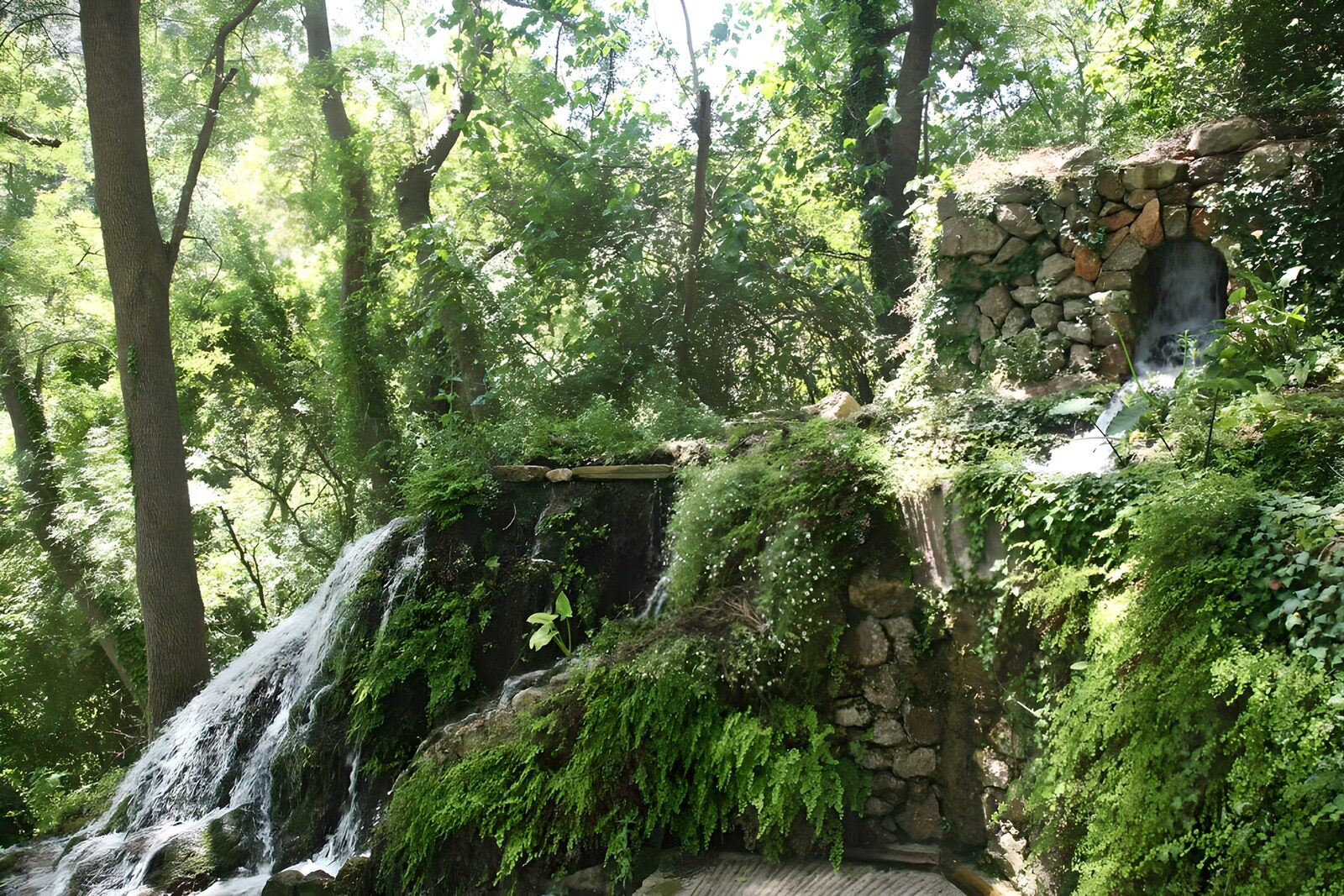 OCUK40233: Wall made of boulders with small waterfall covered with several plants