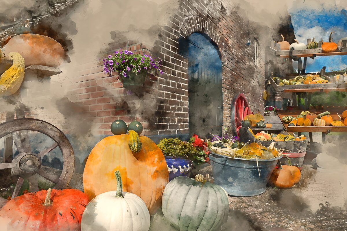OCUK83618: Autumn Harvest Display with Pumpkins