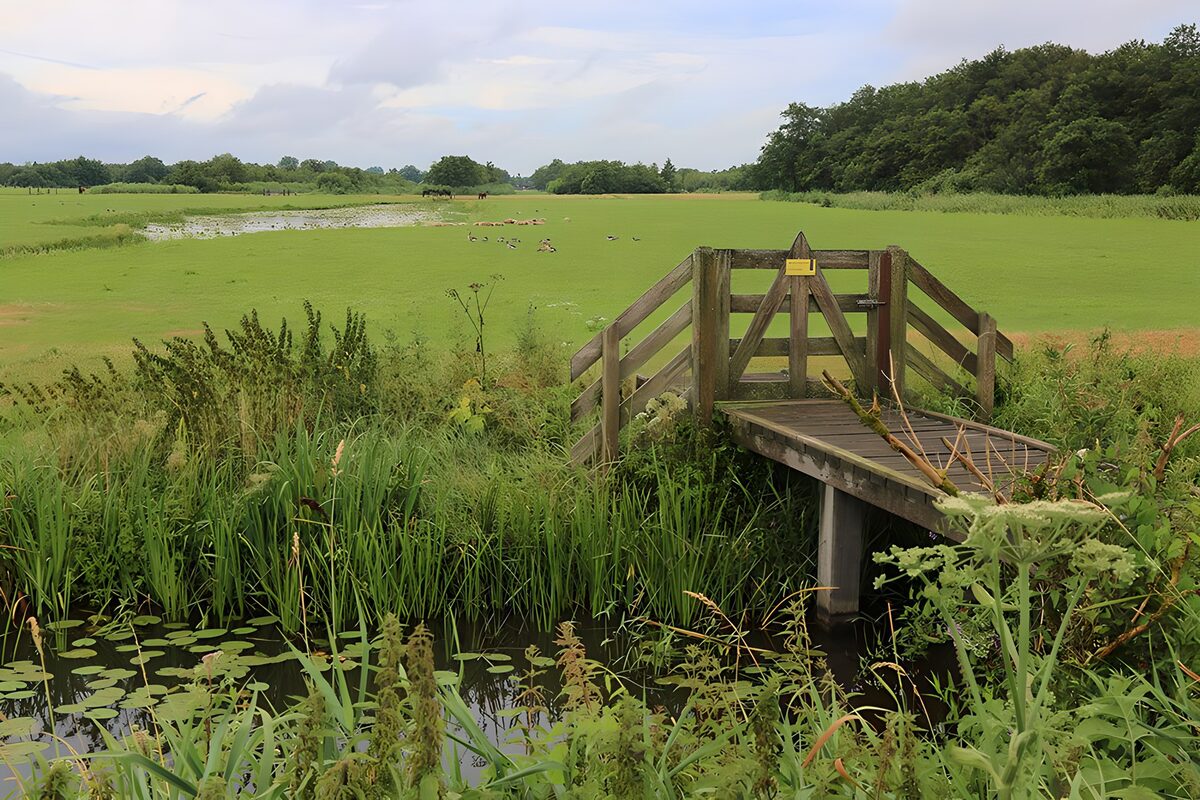 OCUK92579: Small bridge over a ditch with fence to meadow