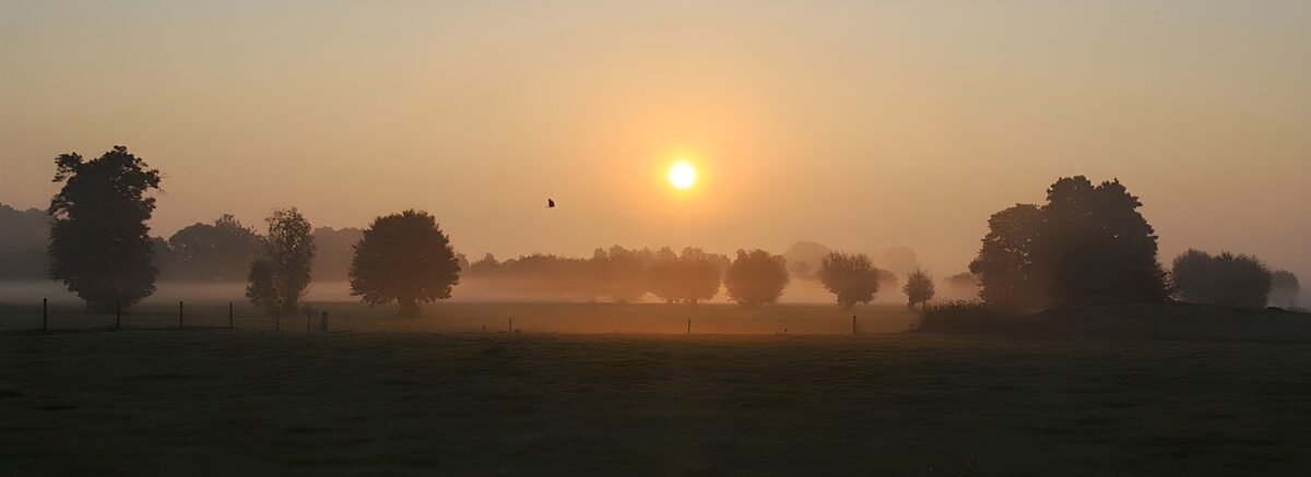 Serene Sunrise Over Misty Fields