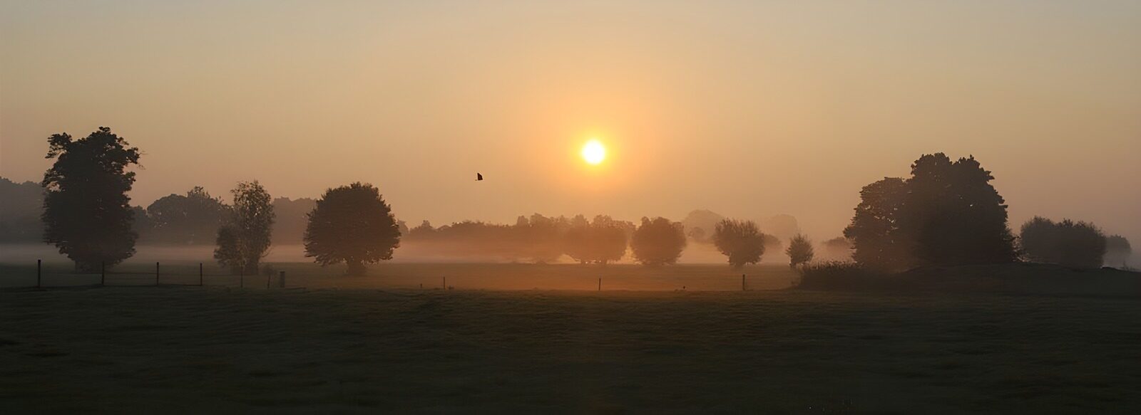OCUK91858: Serene Sunrise Over Misty Fields
