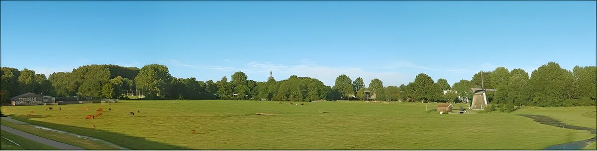 Dutch meadow landscapes 7