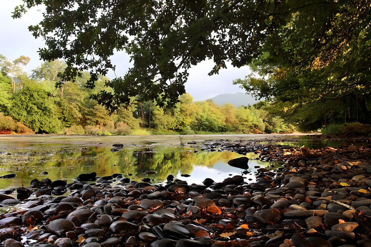 OCUK18327: Serene Riverbank Reflections